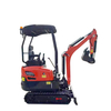Mini escavatore popolare con braccio oscillante DW-17A da 1,4 tonnellate